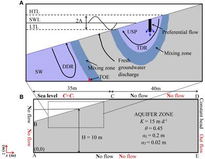 Nitrate fate in coastal unconfined aquifers influenced by preferential flows